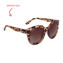  Sugar Sugar Sunglasses