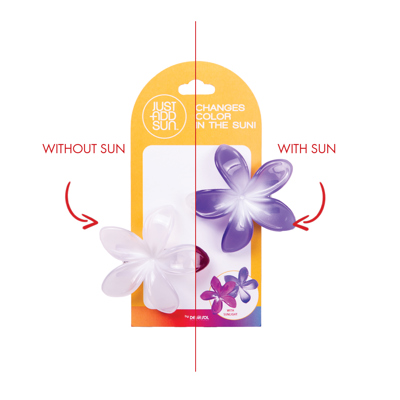 Plumeria 2 Pack Hair Clips