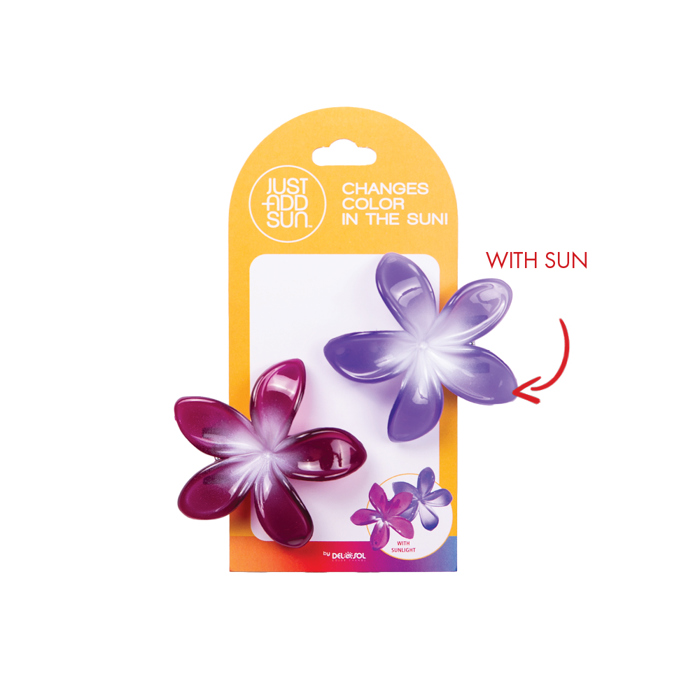 Plumeria 2 Pack Hair Clips