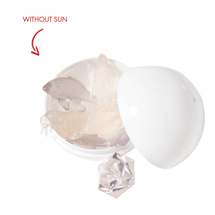 Mystery Sun & Sea Pearls