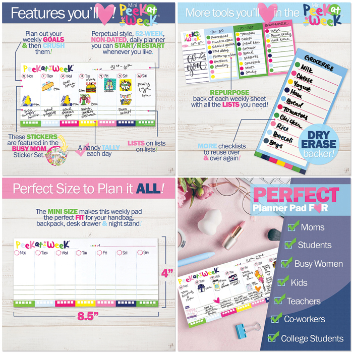 NEW! Everyday Essentials Bundle | Organize Your Days. Own Your Budget. Stay Grateful.