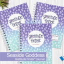  Bundle of (3)  Gratitude Finder® Gratitude Journals