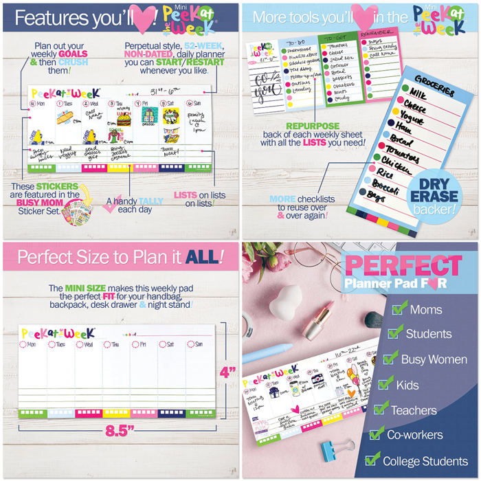 NEW! Dream Planner Bundle | 2025-26 Reminder Binder® + 2 Planner Pads & Pocket Notebook