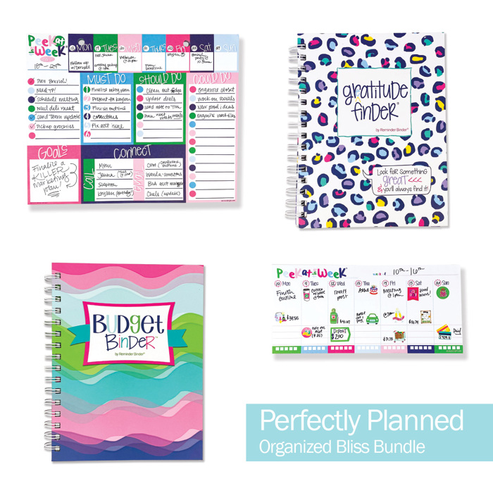 NEW! Organized Bliss Bundle