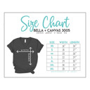  21 Colors T-Shirt (V-Neck) |  Heathered Super Soft Bella Canvas T-Shirt