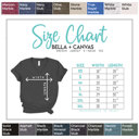  16 Colors - Super Soft Slub Style T-Shirt (V-Neck)