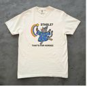  Stable  Thats For Horses Funny Gray Tabby With Wand  - Soft Washed 100 Cotton Heavyweight Tee (Unisex)  Comfort Colors