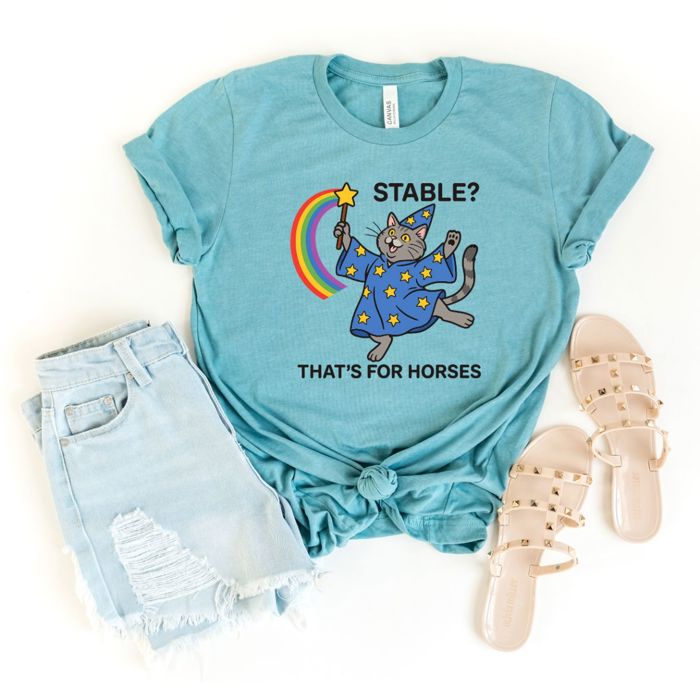Stable That's For Horses  Funny Wizard Cat With Wand - Soft Longer Length Bella Canvas