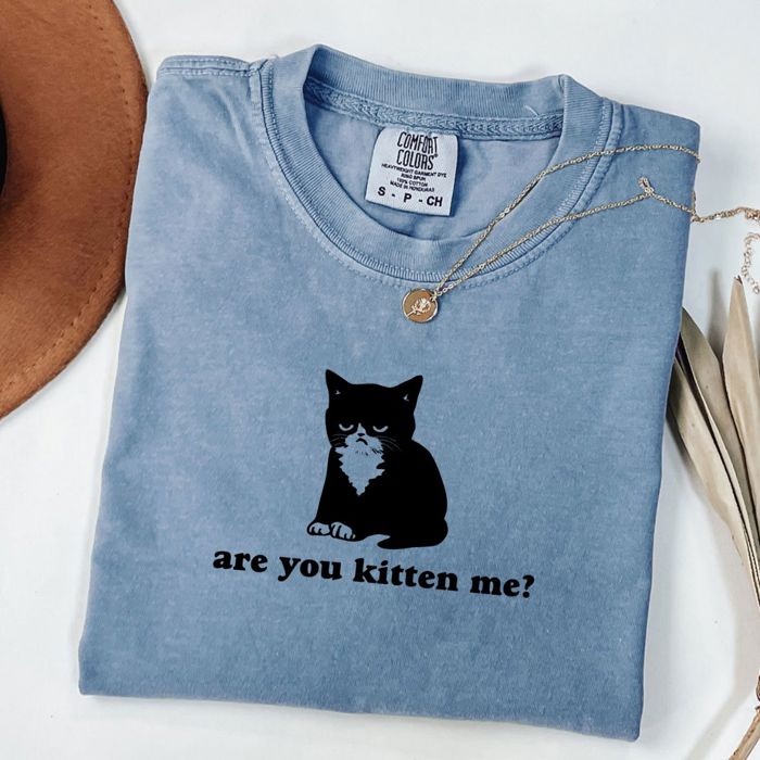 Are You Kitten  Funny Cat Lovers Grumpy Cat Cat Mom - Soft Wash Comfort Colors T-Shirt