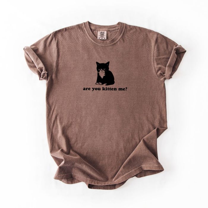 Are You Kitten  Funny Cat Lovers Grumpy Cat Cat Mom - Soft Wash Comfort Colors T-Shirt