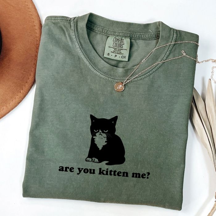 Are You Kitten  Funny Cat Lovers Grumpy Cat Cat Mom - Soft Wash Comfort Colors T-Shirt