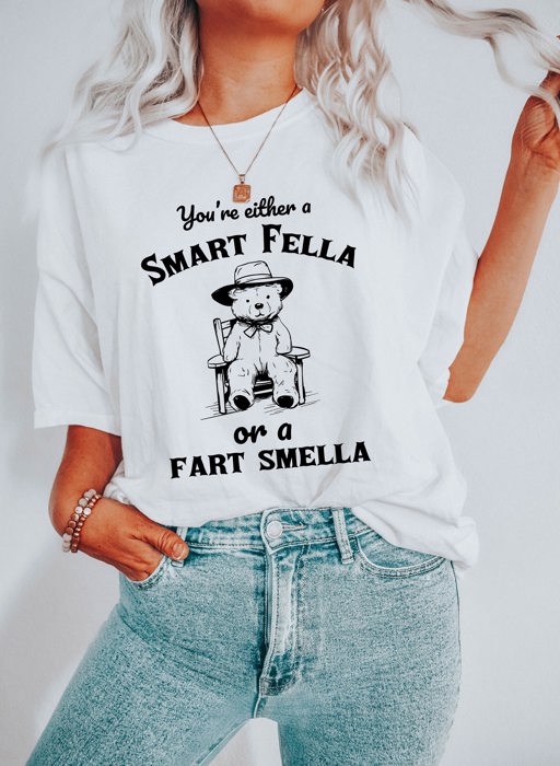 You're Either A Smart Fella or A Fart Smella Funny Cute Sarcastic Soft Cozy Longer Length Unisex Graphic Tee T-shirt