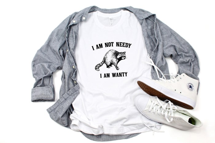 I'm Not Needy I'm Wanty Silly Raccoon Trash Panda Funny Cute Sarcastic Soft Cozy Longer Length Unisex Graphic Tee T-shirt