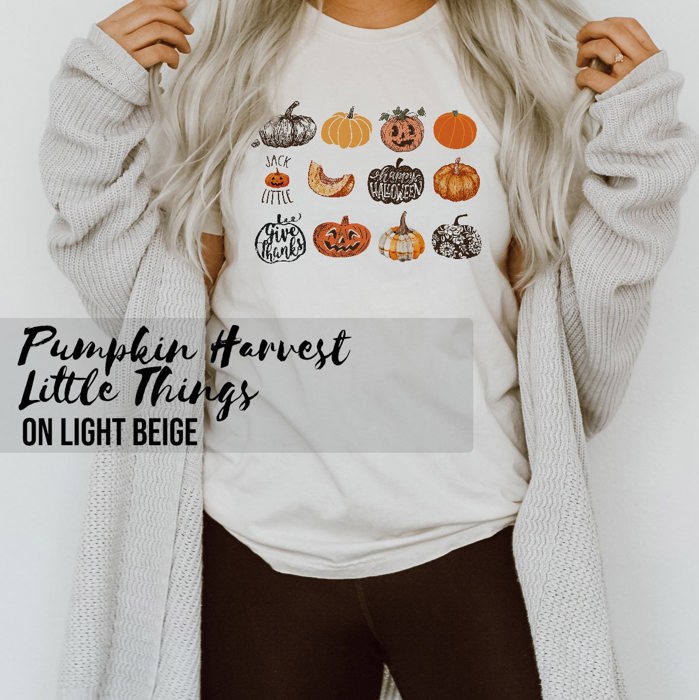 Pumpkin Harvest It's the Little Things that make the best memories Soft Unisex Graphic Tee T-shirt