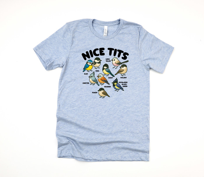 NICE TITS | A Whimsical Gathering of Feathered Friends Soft Cozy Longer Length Unisex Graphic Tee T-shirt