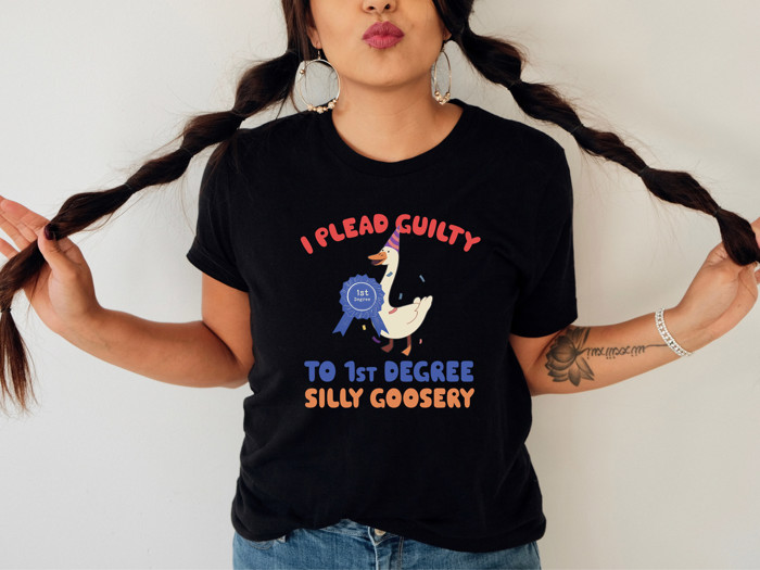 I PLEAD GUILTY TO 1st DEGREE SILLY GOOSERY | A Celebration of Quirky Confessions Soft Cozy Longer Length Unisex Graphic Tee T-shirt