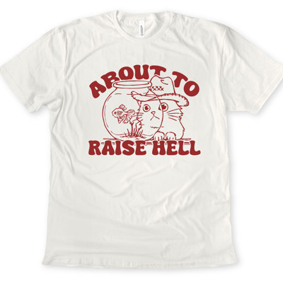 ABOUT TO RAISE HELL | Feline Shenanigans Unleashed Soft Cozy Longer Length Unisex Graphic Tee T-shirt