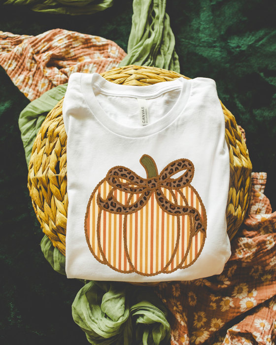 Seersucker Cheetah Print Striped Faux Fabric Pumpkin with Rick Rack Detailing Perfect For Fall - T-Shirt (Crewneck)  100 Cotton Solid Colors Jersey Tee (Uni
