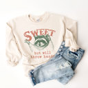  Sweet But Will Throw Hands Cute Raccoon Trash Panda Sweatshirt