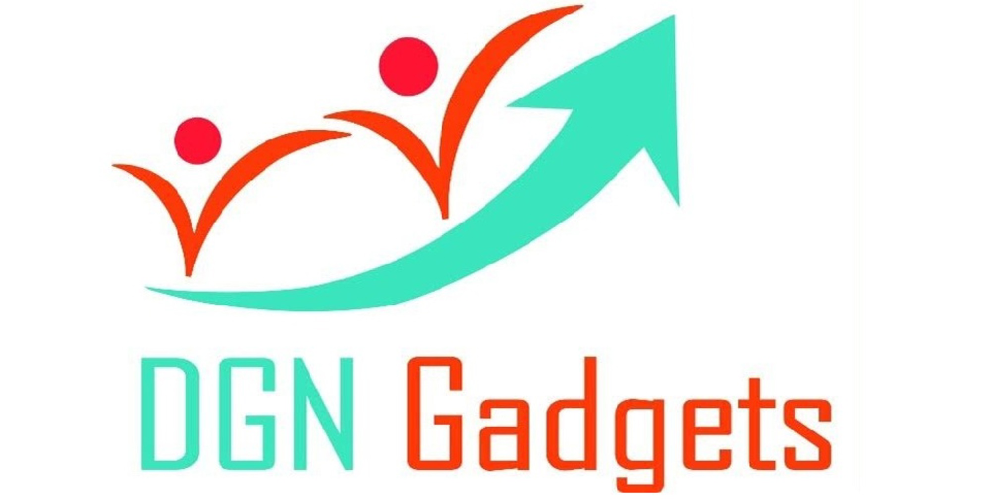 DGN Gadgets Inc