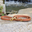 Caramel Tan Dog Leash, Biothane