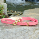 CORAL Dog Leash, Biothane