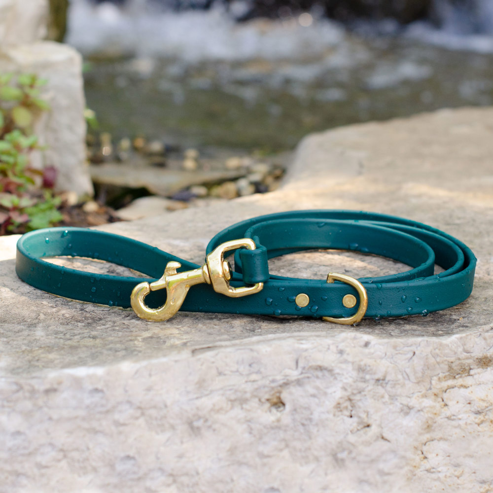 Dog Leash, Biothane