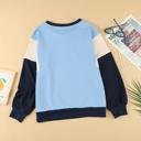  Colorblock Pullover Sweatshirt | Free Shipping