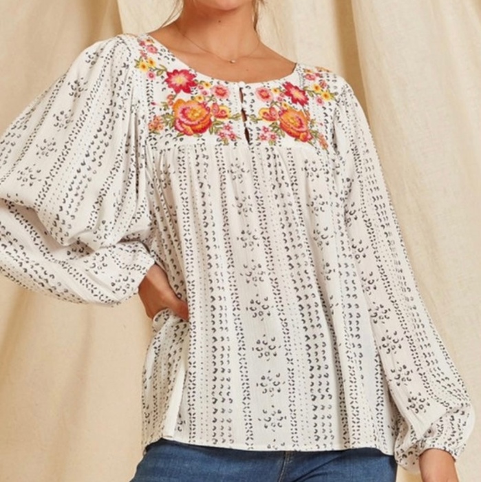 Embroidered Balloon Sleeve Blouse | Free Shipping