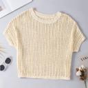  Fishnet Round Neck Short Sleeve Top