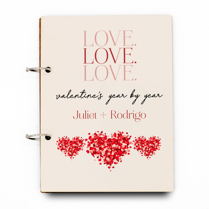 Valentine's Day Card Book Organizer