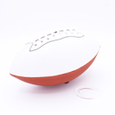  Personalized Football