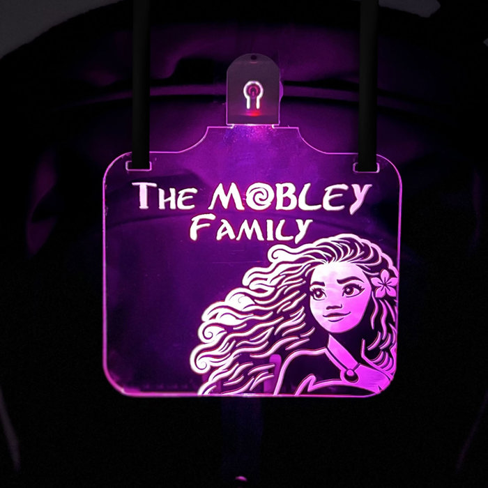Personalized Stroller Light Up Sign