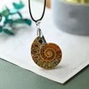  Real Ammonite Fossil Shell Handmade Pendant Adjustable Necklace Gifts for Women