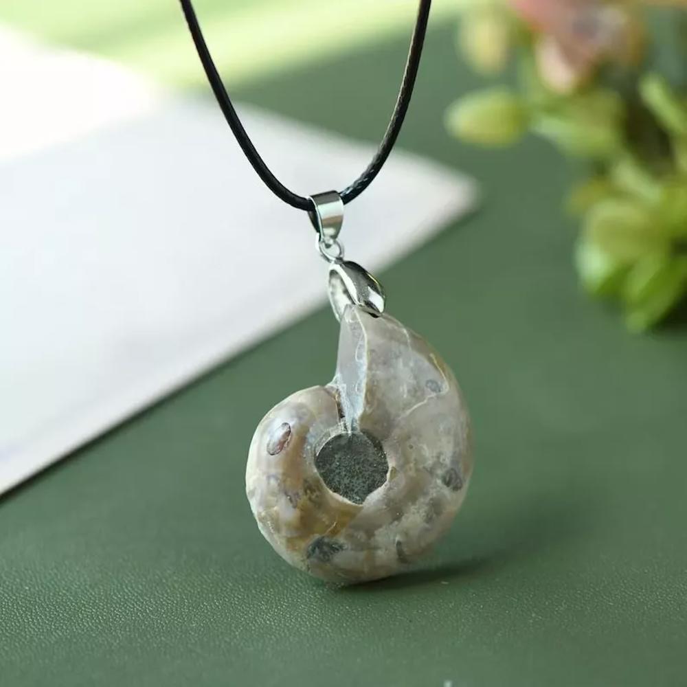 Real Ammonite Fossil Shell Handmade Pendant Adjustable Necklace Gifts for Women