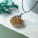  Real Ammonite Fossil Shell Handmade Pendant Adjustable Necklace Gifts for Women