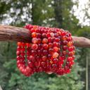  5pcs Natural Red Agate 8mm 6.7" Crystal Healing Stretch Bracelet