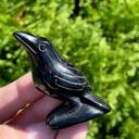  Natural Obsidian Crow Stone Raven Statue Crystal Specimen Minerals Home Decor