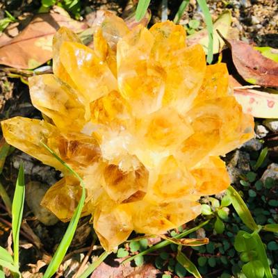 310g+ Raw Aura Citrine Phantom Cluster Titanium Geode Quartz Crystal Specimens