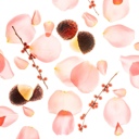 Rosewater Touchland Glove and Gentle Mist Hand Sanitizers
