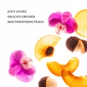 Peachy Lychee Touchland Power Essence Body & Hair Fragrance Mist 2 oz (60ml) | Multiple Scents Available