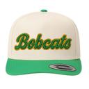  Embroidered Mascot Hat