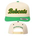  Embroidered Mascot Hat