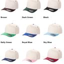  Embroidered Mascot Hat