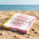  Where's My Cabana Boy Tea Towel in Multicolor Stripes | Cotton Kitchen Hand Dish Cloth | 28" x 18"
