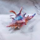  Realistic Conch Shell Hair Claw in Mermaid Colors | Claw Clip Hair Accessories