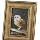  Night Barn Owl Framed Art | Halloween Vintage Style Desk Room Home Decor | 7" x 8.75"