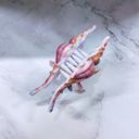  Realistic Conch Shell Hair Claw in Mermaid Colors | Claw Clip Hair Accessories