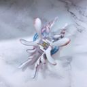  Realistic Conch Shell Hair Claw in Mermaid Colors | Claw Clip Hair Accessories