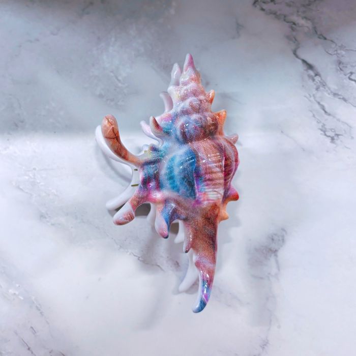 Realistic Conch Shell Hair Claw in Mermaid Colors | Claw Clip Hair Accessories